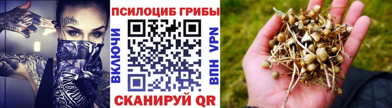 маркетплейс формула  Курильск  Псилоцибиновые грибы ЛСД  наркотики 